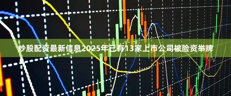 炒股配资最新信息2025年已有13家上市公司被险资举牌