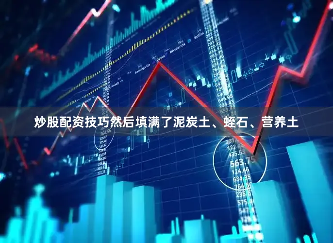 炒股配资技巧然后填满了泥炭土、蛭石、营养土