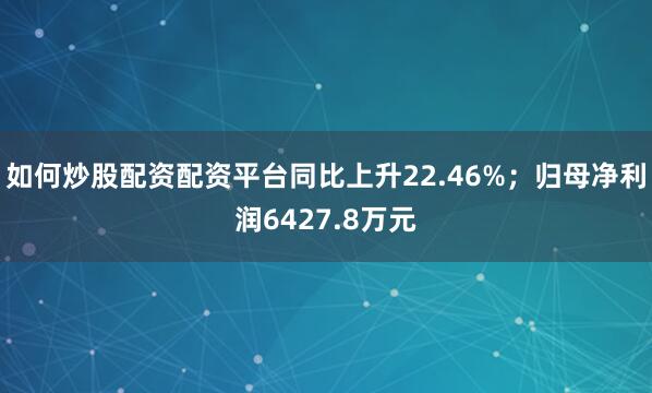 如何炒股配资配资平台同比上升22.46%；归母净利润6427.8万元