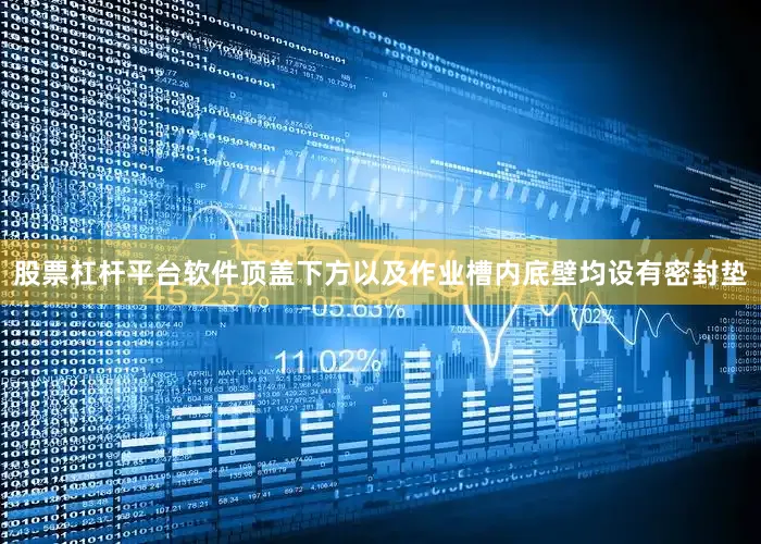 股票杠杆平台软件顶盖下方以及作业槽内底壁均设有密封垫