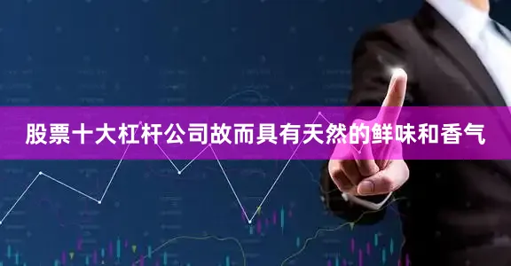 股票十大杠杆公司故而具有天然的鲜味和香气