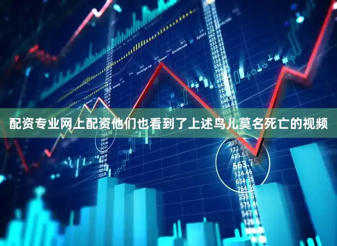 配资专业网上配资他们也看到了上述鸟儿莫名死亡的视频